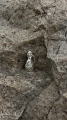 IMG_8854.jpeg