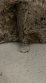 IMG_9614.jpeg